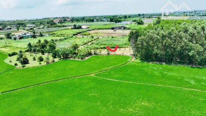 ĐẤT VƯỜN SIÊU RẺ -  XÃ ĐẤT ĐỎ - TP HCM; Ngay quốc lộ 55 vô 1km 🌈DT 845m2 - sẵn 80m thổ cư