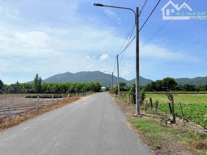 BÁN ĐẤT XÃ PHƯỚC HẢI- TP HỒ CHÍ MINH ; CÁCH BIỂN PHƯỚC HẢI CHỈ 4KM 🌈DT 6x29m - 178m2/ lô-