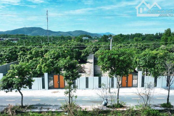 VƯỜN XOÀI THỊ TRẤN PHƯỚC HẢI- GẦN BIỂN PHƯỚC HẢI - BRVT ( Nay là Xã Phước Hải - TP HCM)