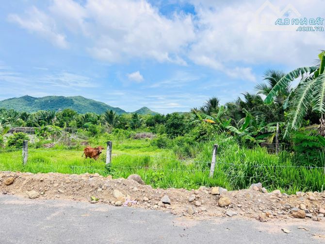 THỊ TRẤN PHƯỚC HẢI - CÁCH BIỂN 4KM - LƯNG TỰA NÚI MINH ĐẠM 🌈🌈🌈DT 1000m2  ngang 20x50m