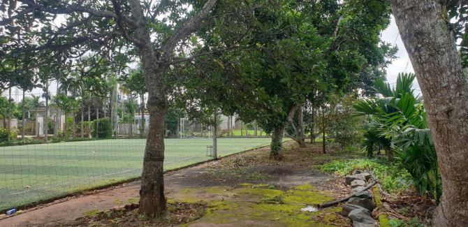 BÁN ĐẤT 2 MẶT TIỀN – P. TÂN AN (XÃ HÒA THUẬN CŨ), TP. BMT 🏡