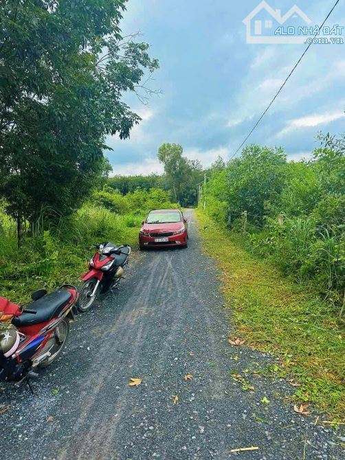 CHÍNH CHỦ CẦN BÁN ĐẤT ĐƯỜNG NGUYỄN THỊ RÀNH -AN NHƠN TÂY , CỦ CHI