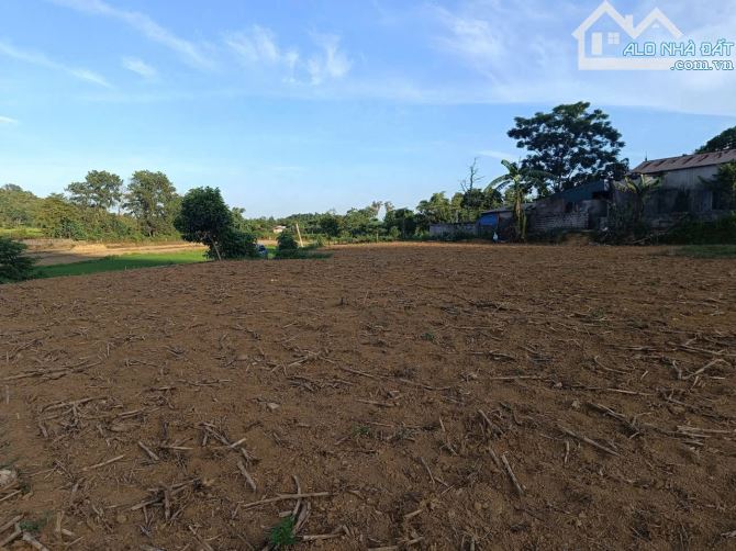 ĐẤT LƯƠNG SƠN VIEW CÁNH ĐỒNG ĐỒI NÚI BÁM BÊ TÔNG TO GIÁ RẺ