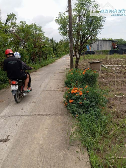 B.á.n (10x50) đất nền đẹp , ôtô kênh Trần Văn Dõng – Chợ Tân Điền, Gò Công Đông, TG cũ