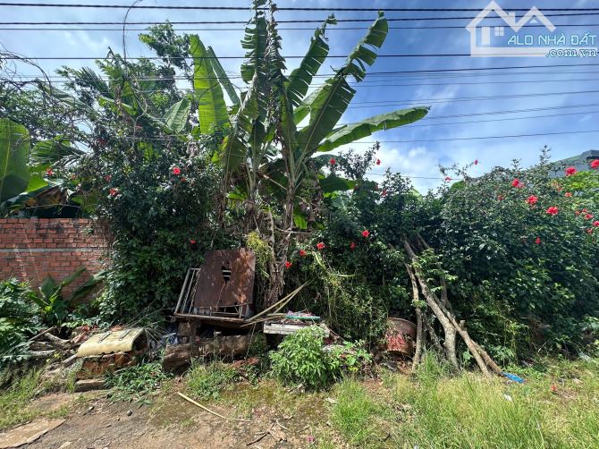 BÁN ĐẤT HẺM 138 Y WANG ❤️HÀNG HIẾM❤️ (6,3x31) GẦN ĐẠI HỌC TÂY NGUYÊN , GIÁ RẺ
