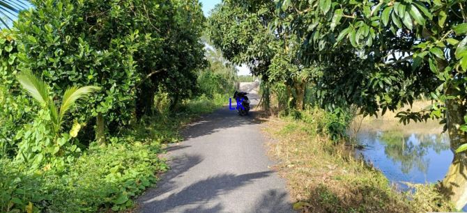 🔰 Bán 190 công (2 Mặt tiền, đất lúa) 🔰 Đường nhựa 3.5m, xã Hưng Thạnh, Đồng Tháp