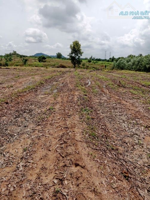 76.000 m2 View Suối ôm 1/2 đất cách 720   600m,  cách nút giao cao tốc 950m