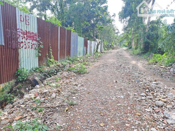 Bán lô đất mặt tiền sông Bà Hồng xã Nhị Bình - Hóc Môn