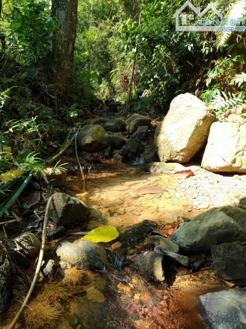 🌿 BÁN LÔ ĐẤT VIEW ĐẸP – GIÁ TỐT TẠI KIM BÔI – HÒA BÌNH 🌿