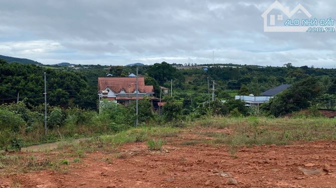 Săn Mây Tại Nhà – Mua Ngay 500m² Đất View Đẹp, Cách Đà Lạt 30 Phút
