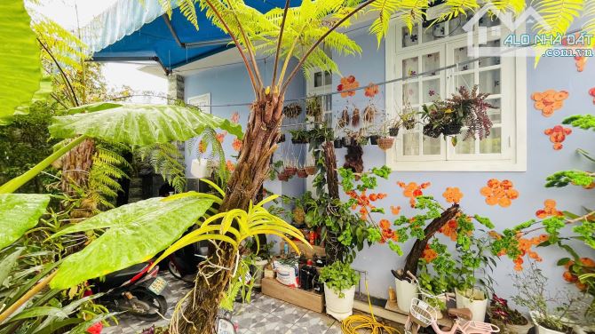 🏡 Bán Nhà Phố Mặt Tiền Nguyễn Thị Nghĩa, Đà Lạt – 3 Tầng, 3PN,Thuê 12Tr/Tháng, Giá 8.5 Tỷ