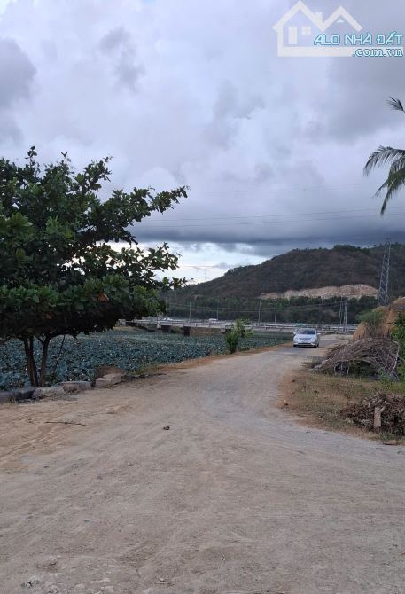 Siêu Phẩm mặt tiền Đường Bờ Kè 20 mét - View Sông Quán Trường - Nha Trang
