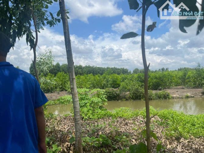 Kẹt Tiền Bán rẻ Hơn 13 Công Đất Chỉ 95 Triệu Công Hoà Mỹ Hậu Giang