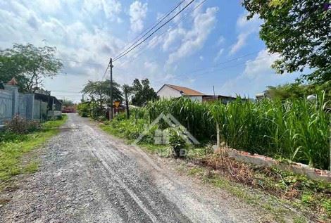 Bán đất xây trọ giá rẻ sổ hồng riêng, 10x48 (480m2), giá  2 tỷ, full thổ cư, Hựu Thạnh
