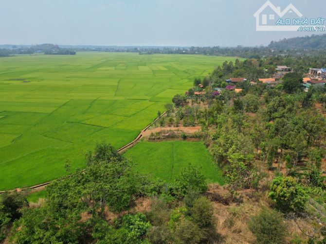 1500m2 Đất thổ cư sát bên quán Hương Đồng Ea Pốk Buôn Mắp - Giá đầu tư
