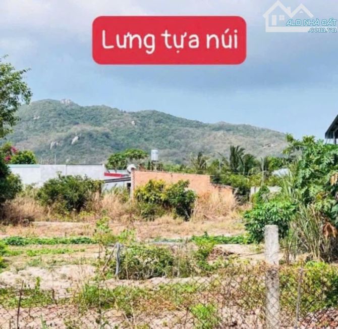 👉CÒN 1 LÔ 522M2(15X35M) TT PHƯỚC HẢI - BRVT.ĐI BIỂN 5 PHÚT VIEW NÚI