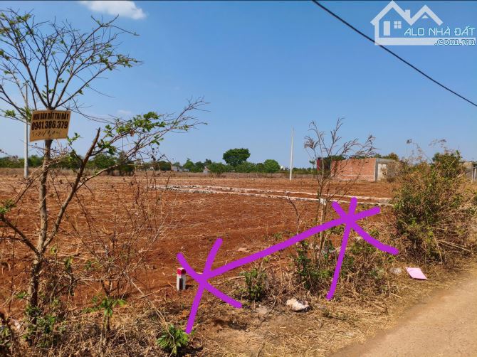 Hẻm cấp 1 tỉnh lộ 8- ngay ngã 3 cây phượng đi vào