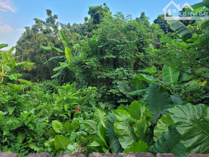 Dương Đức Hiền /43m 5m tiền giá 3 tỷ/ô tô 7 chỗ vào đất