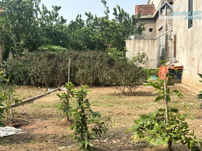 BÁN ĐẤT MỄ SỞ - VĂN GIANG - 52M -Ô TÔ NGÕ THÔNG GẦN DỰ ÁN XUÂN CẦU  VÀ VÀNH ĐAI 4
