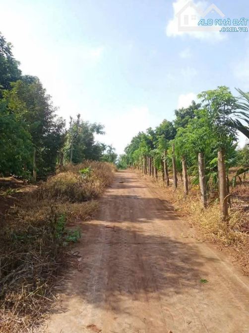 CẦN BÁN NHANH LÔ ĐẤT SÀO THÔN 1 ĐẠT LÝ - PHƯỜNG TÂN AN MỚI