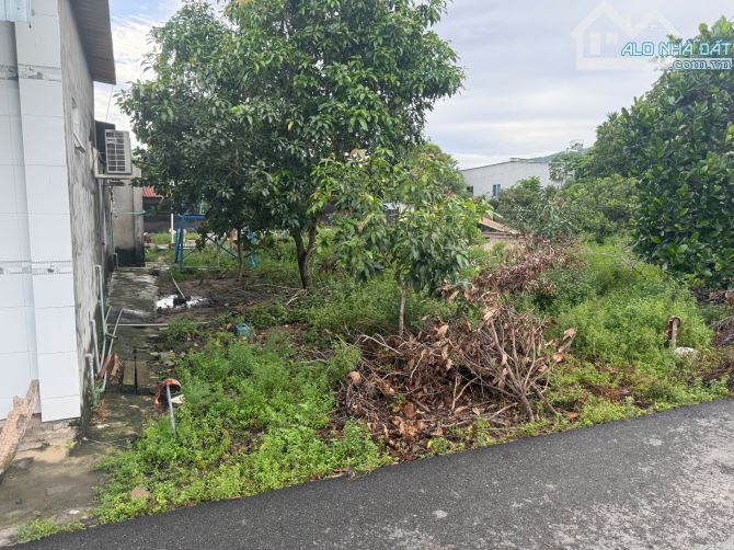 RẺ - Đất Tân Hưng- TP Bà Rịa 5x20, 40 thổ 1 tỷ550