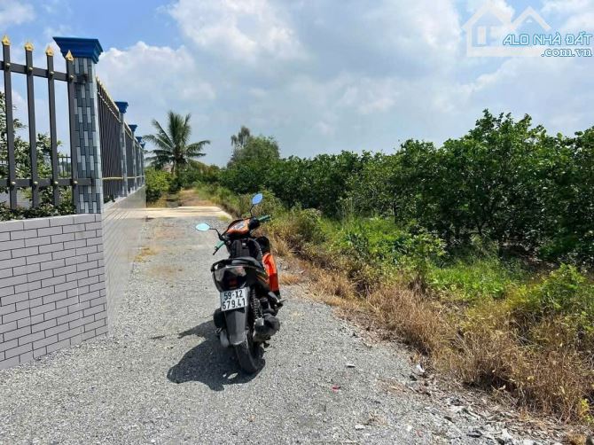 Gần 2000m2 Thổ Vườn Bến Lức Long An đường 5m đá xanh ô tô tải