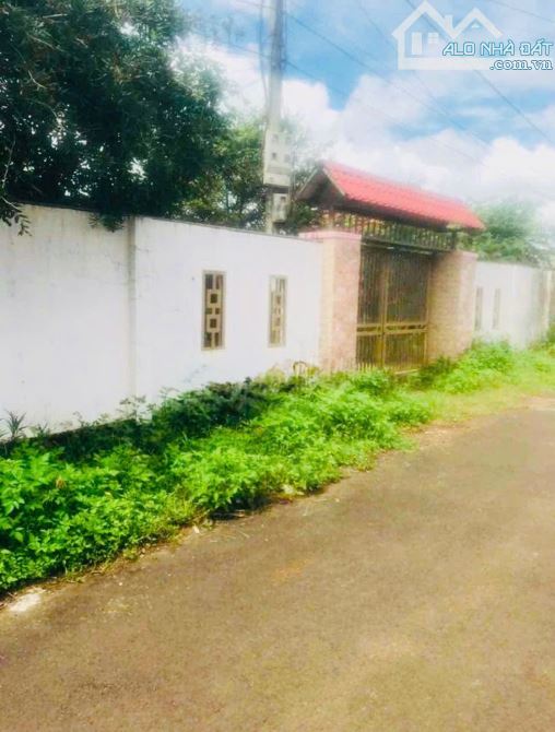 📍 Đất 719m² tại xã Hòa Khánh – TP. Buôn Ma Thuột, Đắk Lắk - 11