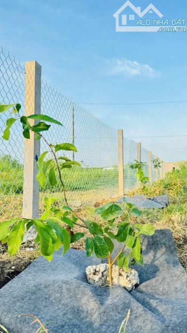 ĐẤT VƯỜN SIÊU RẺ -  XÃ ĐẤT ĐỎ - TP HCM; Ngay quốc lộ 55 vô 1km 🌈DT 845m2 - sẵn 80m thổ cư - 1
