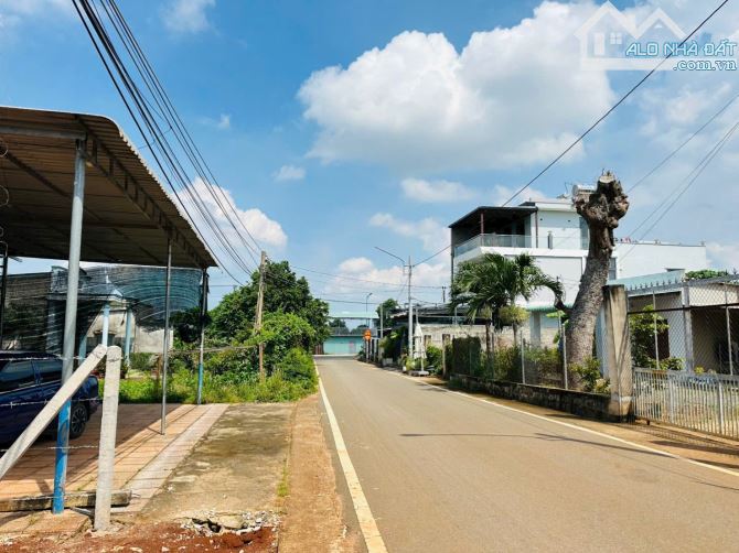 🌈🌈 HƠN 257M2 ĐẤT TRUNG TÂM XÃ ĐẤT ĐỎ - TP.HCM  ✅ DT 257m2 ( 7m x 37m ); sẵn 71 thổ cư 👉 - 1