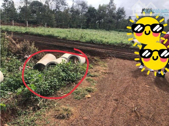 Cần Bán Lô Góc 2MT Xã Cuôr Đăng Cư Mgar ,Đăk Lăk - 1