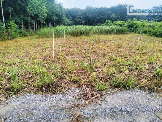 CHÍNH CHỦ CẦN BÁN ĐẤT ĐƯỜNG NGUYỄN THỊ RÀNH -AN NHƠN TÂY , CỦ CHI - 1