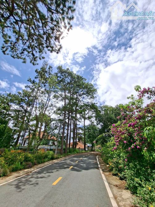Bán viilla 2 mặt tiền đường Yên Thế Đà Lạt view đỉnh - 1
