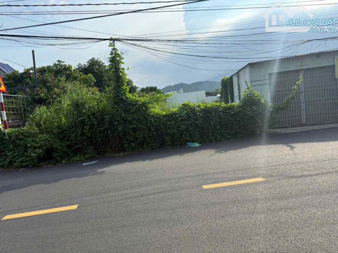 CẦN THANH LÝ LÔ ĐÂT 160M2 NGAY TRUNG CHỢ LỘC AN LONG ĐẤT, BRVT CHỈ TỪ 6TR/M2 - 1