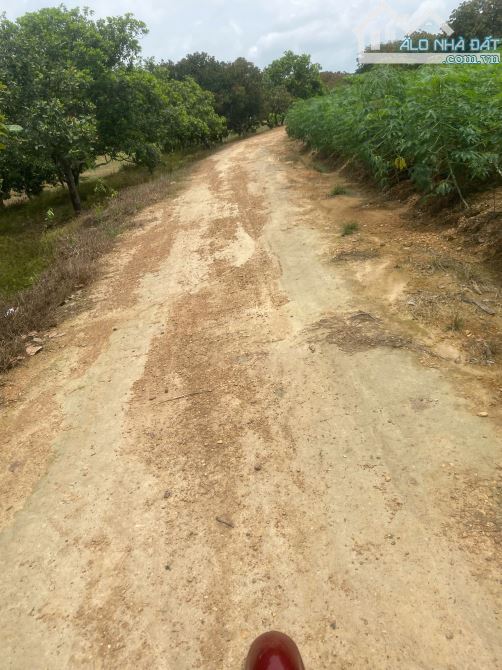 chỉ 650 triệu sở hữu ngay lô đấy 1500m2(1,5 xào) có 18m mặt tiền đường hiển thị - 1