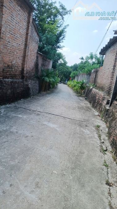 BÁN 506M ĐẤT Ở TẠI TIÊN PHONG BA VÌ, HÀ NỘI GIÁ RẺ CHỦ CẦN BÁN GẤP - 1