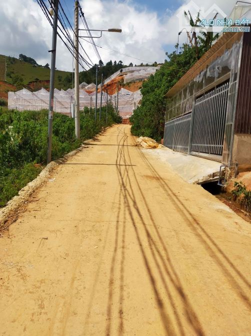 Bán lô đất 🔥3 Tỷ - Thị trấn Lạc Dương- Đà Lạt 290m²- Đất ở 100m² - 1
