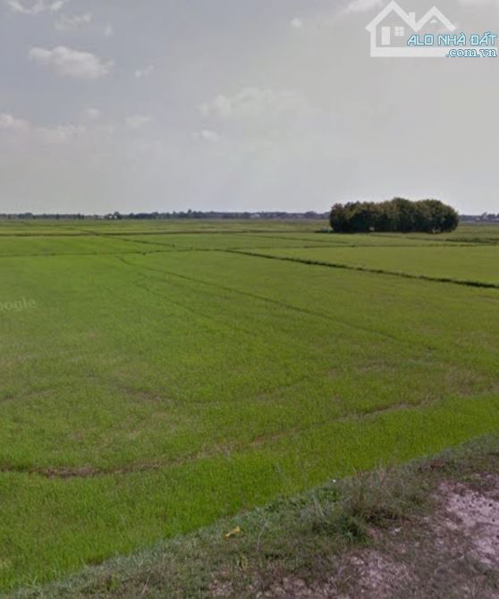Bán đất vườn đường ôtô xã Trung Lập Thượng Củ Chi TPHCM, DT: 10000m2. - 1