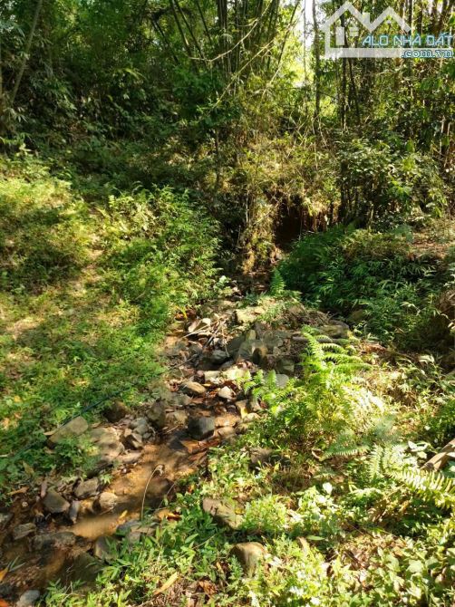 🌿 BÁN LÔ ĐẤT VIEW ĐẸP – GIÁ TỐT TẠI KIM BÔI – HÒA BÌNH 🌿 - 1