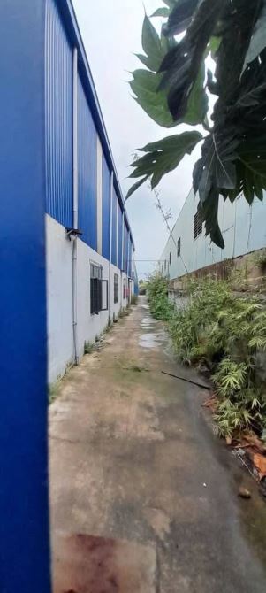 Bán nhà xưởng , xây dựng : 5.000m2, KCN Đức Hòa, Long An,PCCC tự động - 1