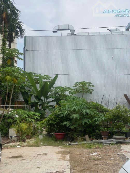 🌊CHỦ CẦN BÁN GẤP LÔ ĐẤT ĐẸP GẦN BIỂN MỸ KHÊ – SƠN TRÀ, ĐÀ NẴNG. 226M2, NGANG 10M - 1