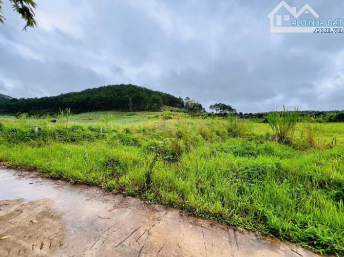 1000m2 ĐẤT NGHỈ DƯỠNG GIÁP RỪNG THÔNG - 1