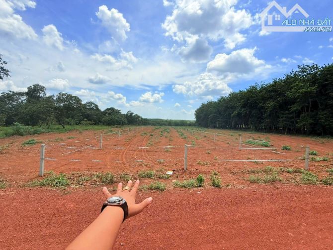 1000m2 Kế Khu Công Nghiệp dang xây dựng rào sẵn, 490 tr còn T.luong - 1