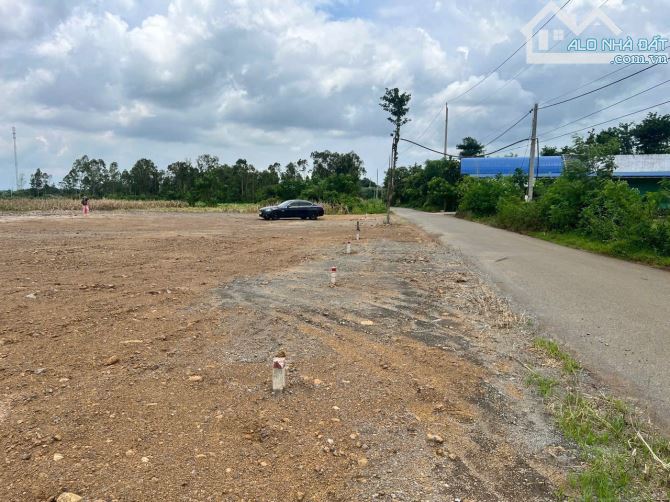 Đất Tp Hồ Chí Minh Mới dưới 6tr/m2 - 1