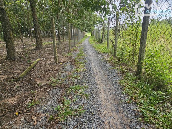 Hơn 1400m2 đường xe hơi thông. Gần trường học. 800tr - 1