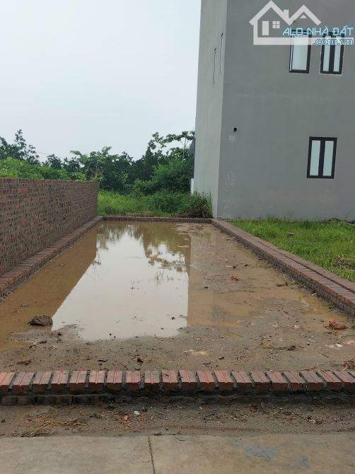 Bán lô đất 66m² tại tổ 9, xã Quang Minh, TP. Hà Nội - 1