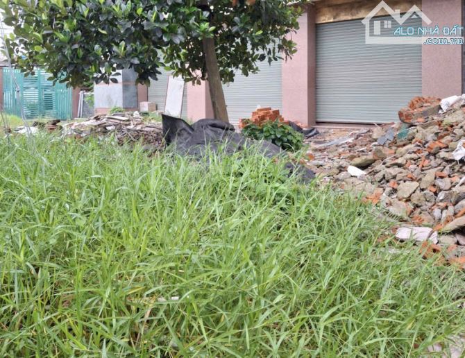 ⭐️⭐️ 4 Lô Đất Mặt tiền SHR Đường 10m 105m2 – Võ Thị Thừa Quận 12 - 1