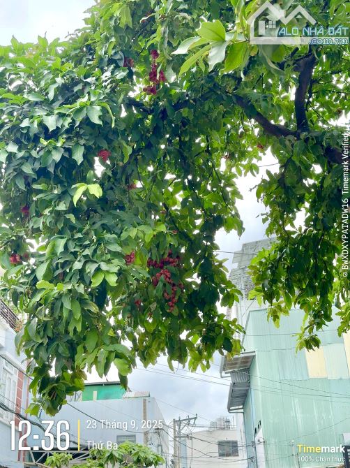 4❌18m, BÁN NHÀ 2 TẦNG, ĐƯỜNG 10M THÔNG, TCH, Q.12, 5 TỶ HƠN - 1