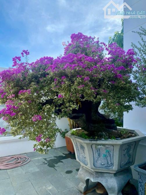🌾🌾 bán nhà biệt thự đẹp view sông khu đô thị ven sông tắc - 1