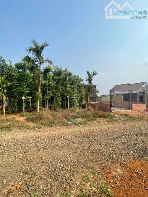 ĐẤT THỔ CƯ KOMLEO HOÀ ĐÔNG CŨ 10x35.5m CHỈ 1Tỷ750 Triệu - 1