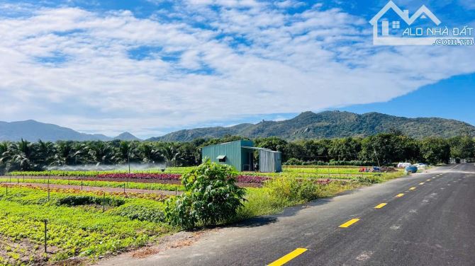 LÔ GÓC THỊ TRẤN PHƯỚC HẢI - VIEW NÚI SIÊU ĐẸP - GẦN BIỂN PHƯỚC HẢI 🌈🌈🌈  LÔ GÓC 1439M2 - - 2